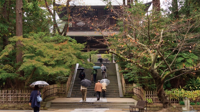 Airbnbの稼働率が下がってしまう時期と、その対応策とは？