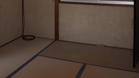 （写真はイメージです/PIXTA）