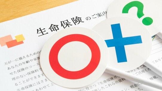 経済評論家が伝授する〈保険見直し〉の重要ポイント…「最もシンプル」で「少し考えれば当然」の法則とは？