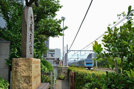 山王地区と隣接する、大森貝塚（大田区側）記念碑／PIXTA