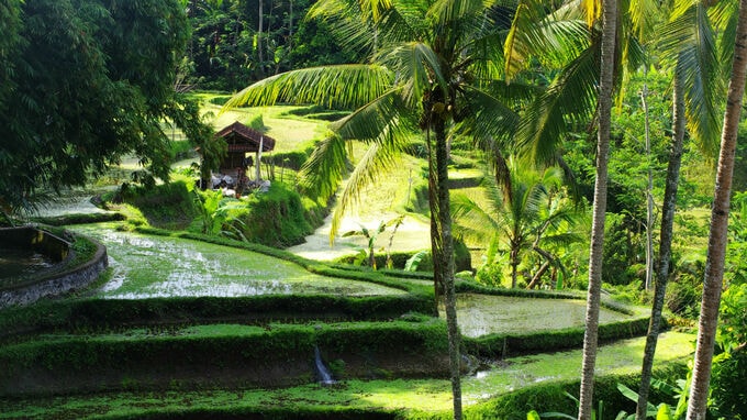 バリ島の不動産投資･･･「ヴィラ」の経営に適した立地とは？