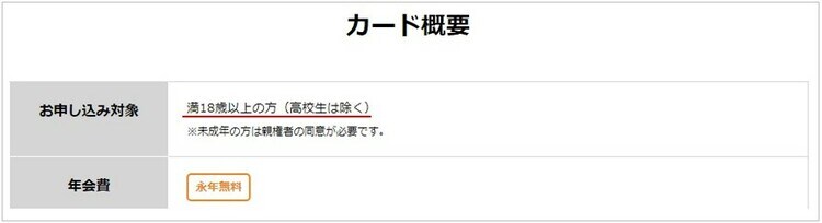 学生でもクレジットカードの申し込みができることを証明する画像