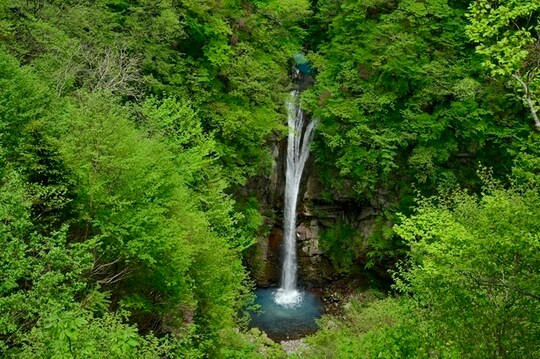 （※写真はイメージです／PIXTA）