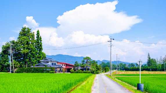 「田舎暮らしに憧れた私がバカだった」…60代夫婦の〈地方移住失敗記〉