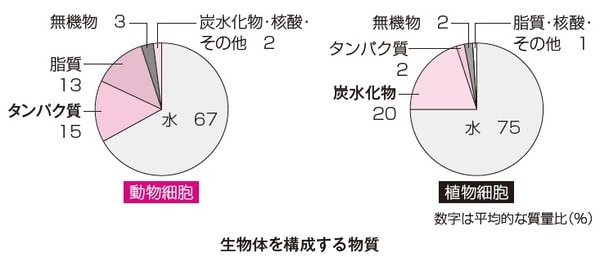 出所：伊藤和修著『大人の教養　面白いほどわかる生物』（KADOKAWA）