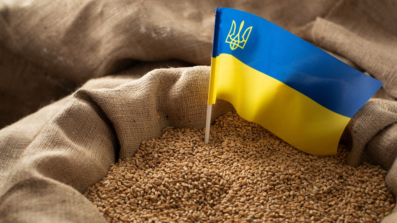 輸入小麦の価格、なぜ急騰？日本はウクライナ産の小麦を輸入していないのに！