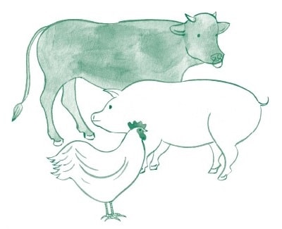 出所：平松類著『自分でできる！人生が変わる緑内障の新常識』（ライフサイエンス出版）