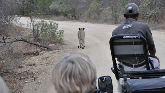 「茂みでトイレ」「屋根なし車で猛獣の真横へ」…免責同意書にサインしてでも、〈富裕層〉が南アフリカで求める“究極体験”の正体