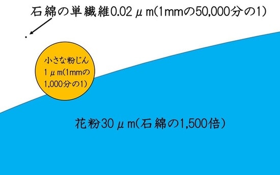 アスベスト単繊維は非常に小さい