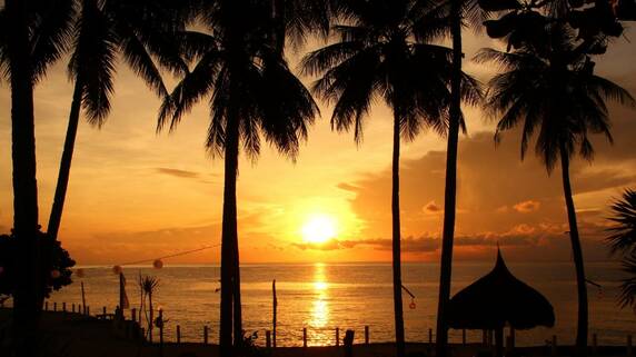 痛恨のミス…日本人投資家、オアフ島のコンドミニアムに「自力で投資」した結果、約5万ドルもの「想定外の出費」を強いられたワケ