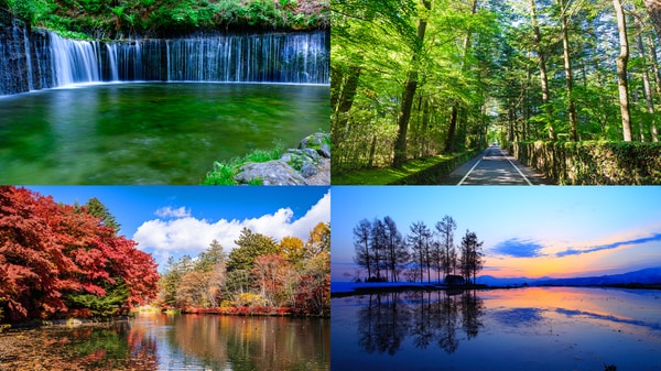 四季折々の表情をみせてくれる軽井沢。自然豊かな環境下での暮らしには、都会にはないコストを必要とする