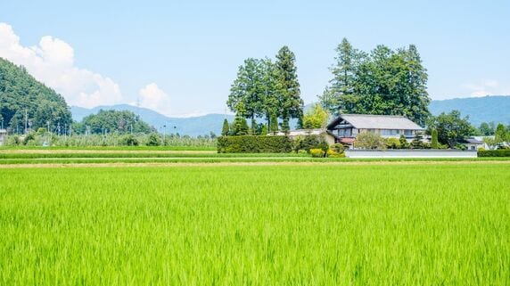 「孫は可愛い。でも、正直つらい」…GWに総勢13人が実家に集結。年金月23万円・72歳“幸せなばぁば”が思わず零した「本音」