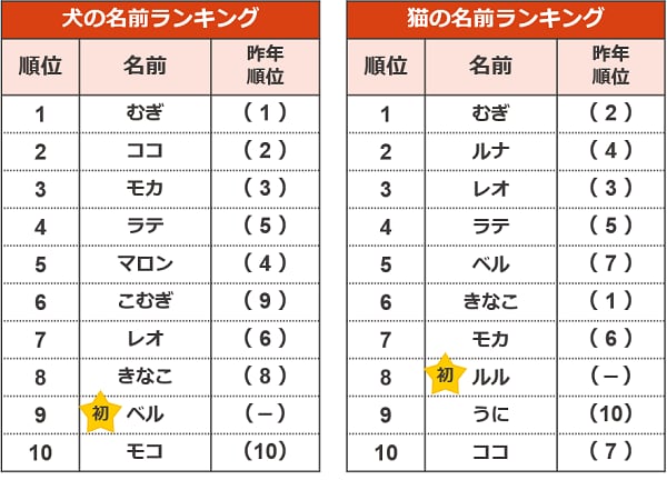 出典：「アイペット損害保険株式会社」調査リリース 