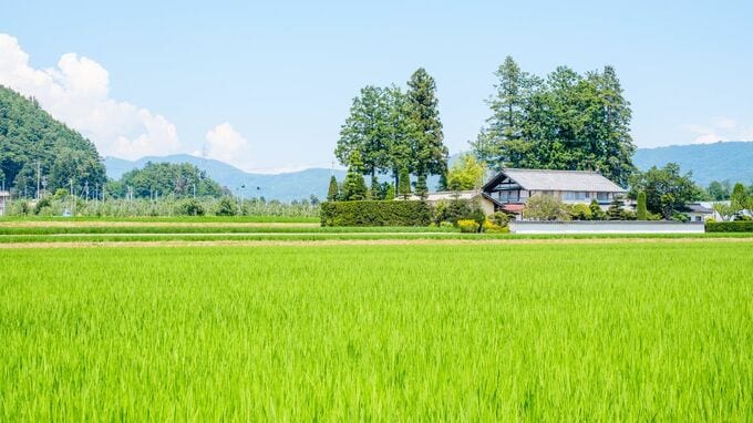 「孫は可愛い。でも、正直つらい」…GWに総勢13人が実家に集結。年金月23万円・72歳“幸せなばぁば”が思わず零した「本音」