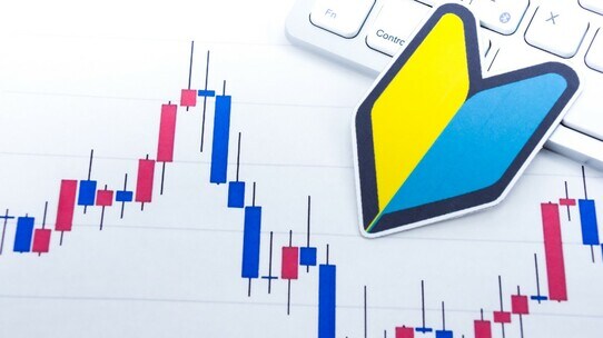 【株式投資初心者向け】暴落リスクを低減し、資産形成の効率を上げる、システマチックな手法
