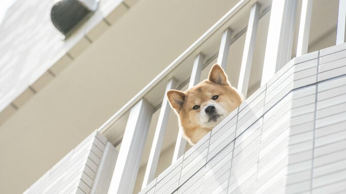 区分所有者に「ベランダ」の所有権はあるのか？判例で解説