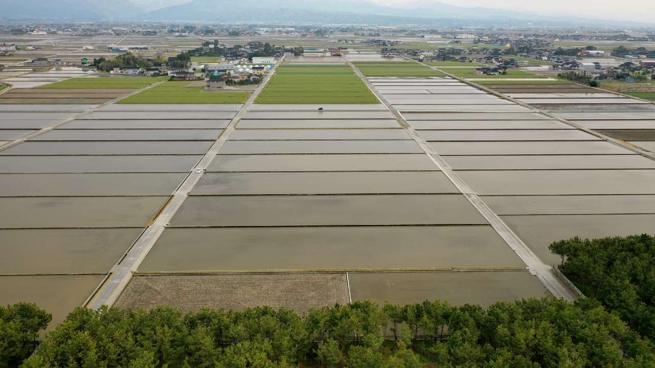 日本の土地評価システム、昔はどうなっていた？…歴史に学ぶ「地租改正」のキホン