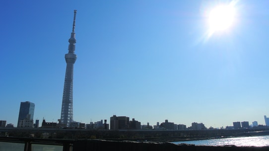 ピークは2019年!?　長期サイクルで上昇が予想される株式相場