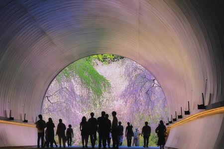 （MIHO MUSEUMのミュージアムトンネル（滋賀県）／PIXTA）
