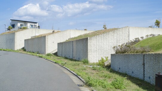 相続税の減額に「土地の欠点」が活用できる理由