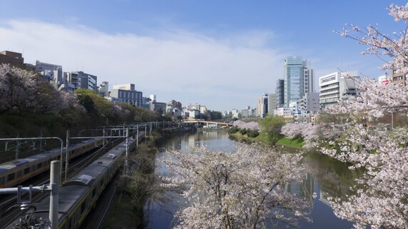 生命保険の「2017年4月1日問題」をどう捉えるべきか?