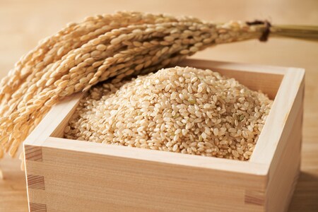 （写真はイメージです/PIXTA）