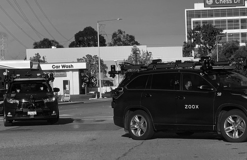 画像／筆者ら撮影