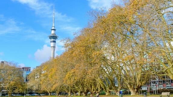 NZオークランドの平均不動産売出価格、6年ぶりに100万NZドルを下回る…在庫増加の局面で、海外投資家が注目すべきポイントは？