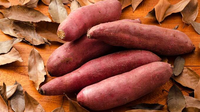 イモの価格を安くせよ！ 優しい王様の配慮が、逆に「腹ペコ庶民」を増やすワケ…「行き過ぎた弱者保護」がはらむ問題点【経済評論家が解説】