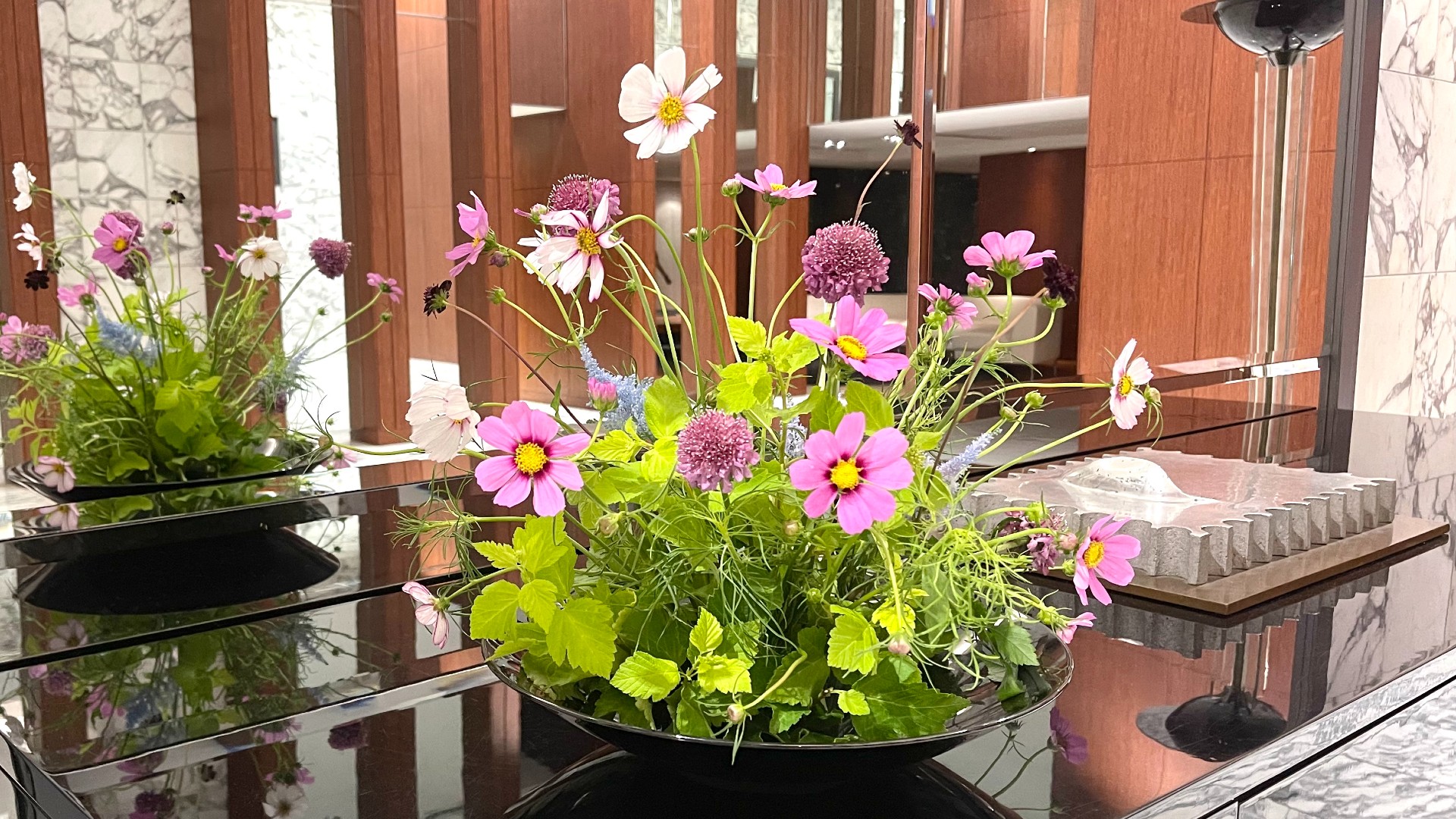 待合室で季節を感じられる9月の花：コスモス