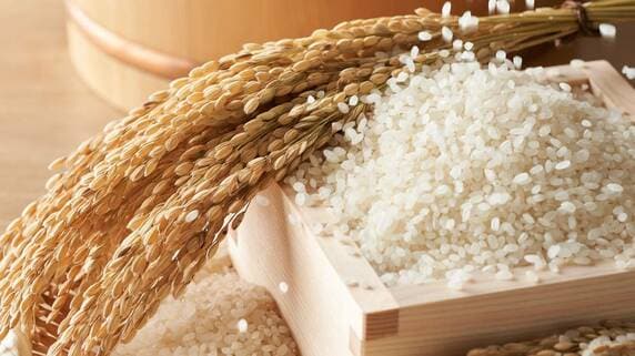 「令和の米騒動」と食料をめぐる世界の構造──米、小麦、そしてスイスの企業戦略【国際税務の専門家が解説】