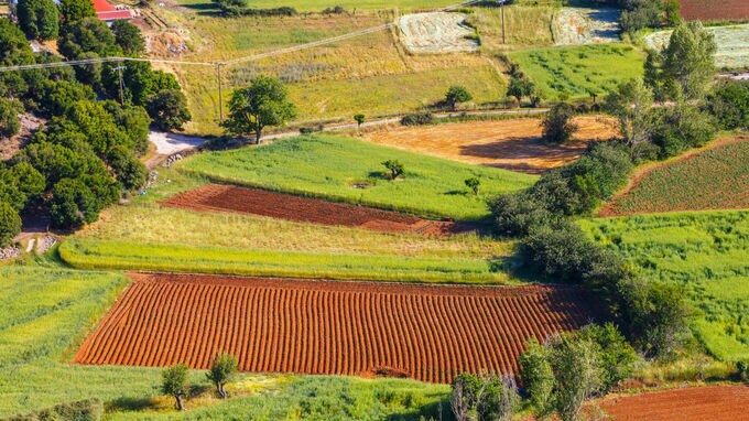 地目の異なる土地が「一団」として評価されたケース