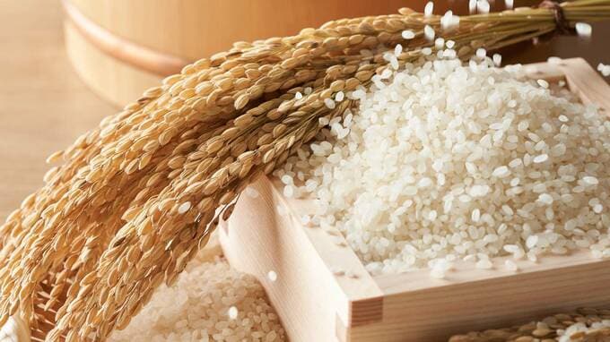 「令和の米騒動」と食料をめぐる世界の構造──米、小麦、そしてスイスの企業戦略【国際税務の専門家が解説】