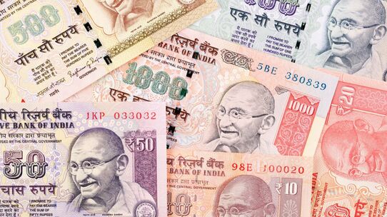 「減税政策」で成長中のインドは“有望な投資先”になり得るのか？年利6％超の「高金利預金」を狙ってルピー資産をポートフォリオへ組み込むかの判断基準