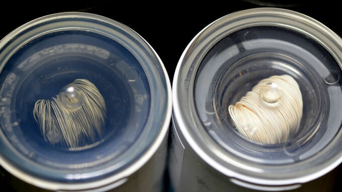 M&amp;Aで活用される「DCF法」とは？