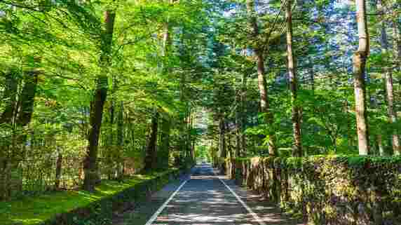 「正直、後悔しています」退職金2,000万円で購入した〈避暑地の別荘〉…70歳夫婦が手放した理由