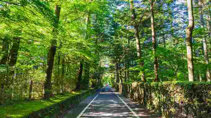 「正直、後悔しています」退職金2,000万円で購入した〈避暑地の別荘〉…70歳夫婦が手放した理由