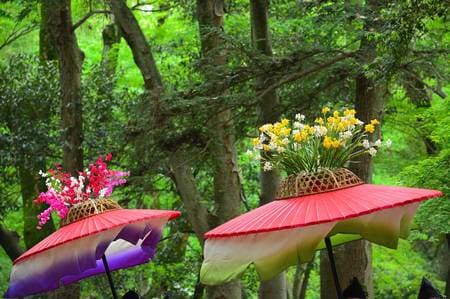 伝統的な祭りも日常のワンシーンに