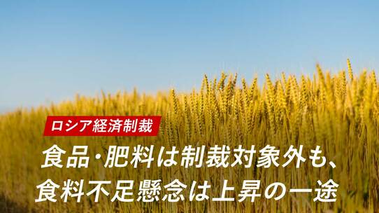 【ロシア経済制裁】食品・肥料は制裁対象外も、食料不足懸念は上昇の一途