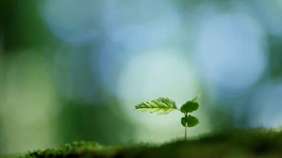 「外科医のキャリアは終わった」下半身不随の医師が再びメスを握るまで。栃木の老舗病院が下した“採算度外視”の決断