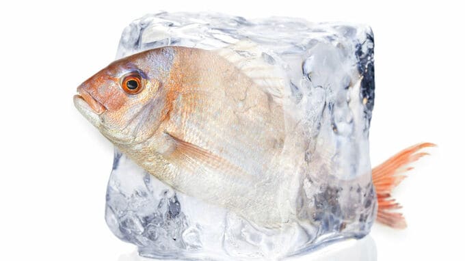 東南アに低温物流網　冷凍・冷蔵倉庫関連銘柄に注目