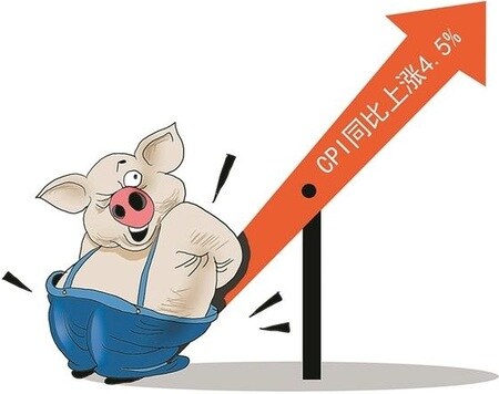 （注）「CPIが（2019年11月）前年同月比4.5%上昇」と書かれている。 （出所）2019年12月11日付新浪財経より転載