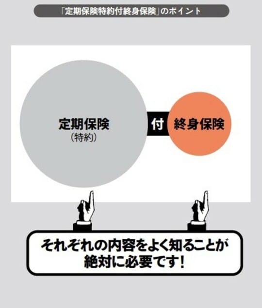 ［図表2］「定期保険特約付終身保険」のポイント