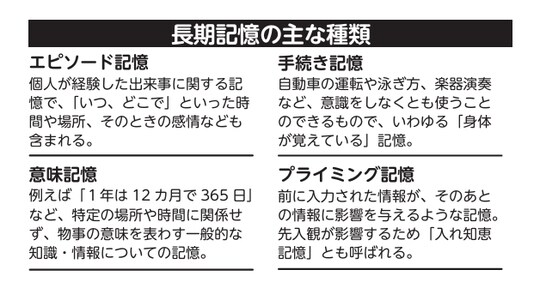 ［図表6］長期記憶の主な種類