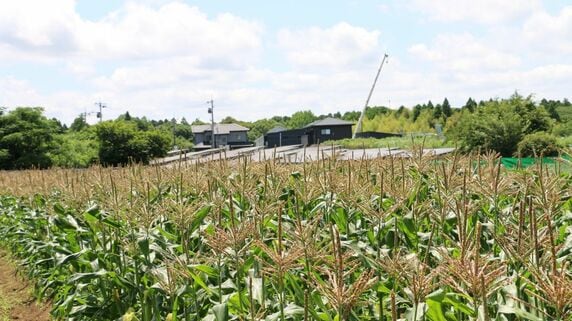 「国に引き取ってもらうのに72万円も払うの？」親が遺した“千葉県の畑500平方メートル”に〈相続土地国庫帰属制度〉を利用…〈税金での救済〉ではない現実と、法務局の厳格審査の壁