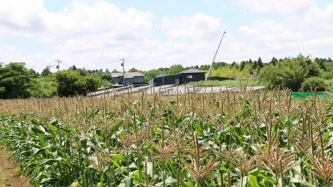 「国に引き取ってもらうのに72万円も払うの？」親が遺した“千葉県の畑500平方メートル”に〈相続土地国庫帰属制度〉を利用…〈税金での救済〉ではない現実と、法務局の厳格審査の壁