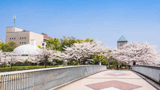 多摩ニュータウンの地主農家たち「税対策で借金まみれ」の末路