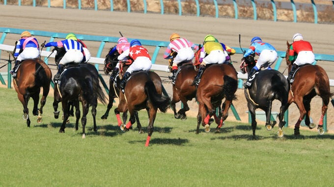 追悼・ディープインパクト…競走馬の償却年数は「4年」の衝撃