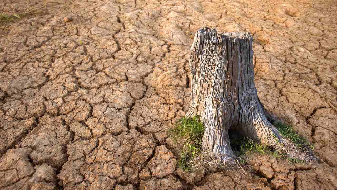 米気候変動サミット「ムーンショット」は実現なるか?