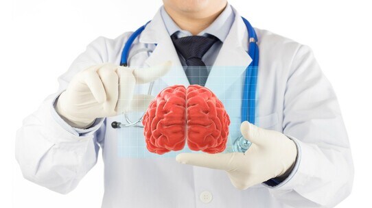 脳の海馬を焼いて、記憶障害に…長年の研究でわかった「記憶力を伸ばす方法」